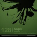 Sopik - Wizard