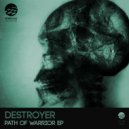 Destroyer - Feeling Large (Original Mix)
