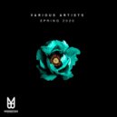 Marc Werner & Panik Pop - Get Down