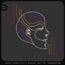 Felix Raphael, Yannek Maunz - Shifted Frequencies