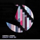 Hubinek & Sperbel - Crazy Trip