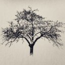 Recondite - Serenity
