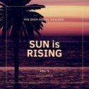 Rich Fox - The Trader (Soul & Deep Mix)