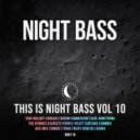 NuBass, Dommix feat. Purple Velvet Curtains - Night Controller