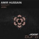 Amir Hussain - Scarlett