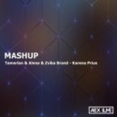 Tamerlan & Alena & Zvika Brand - Karena Prius (Alex lume Mashup)