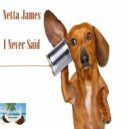 Netta James - I Never Said