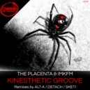 The Placenta & IMKFM - Kinesthetic Groove