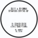Swoy & Bolumar - Radient