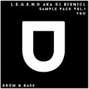 L.E.G.E.N.D. aka DJ Bionicl - Sub & Bass (Original Mix)