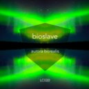 Bioslave - From Beyond