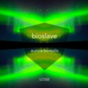 Bioslave - Stranger