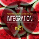 DJ Egorsky (Electronic Sound) - Integration#21(2020June)
