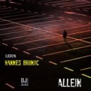 Hannes Bruniic - Allein
