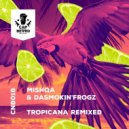 MISHQA, DaSmokin\'Frogz - Tropicana (Original Mix)