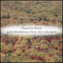 Mindfulness Slow Life Laboratory - Days & Sleep (Original Mix)