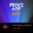 Prince AfIf - Aurora (Guen B Remix)