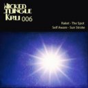 Self Aware - Sun Stroke