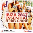 Dirty Swingers - Love In The Disco (DJ Zimmo Mix)