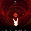 ReeZpin - Rabbit Hole (Original Mix)