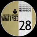 Angelo Ferreri, Moon Rocket - What I Need