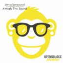 Attackersound - Self Portrait (Raone Franco & Salla Remix)