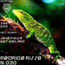 Rodrigo Risso - N 030 (Wes Wieland Remix)