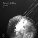 Samuel Wallner - Failed State