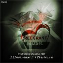 Profetik & 5ALVO - Lifestream