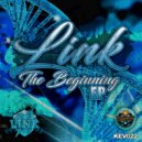 Link - The Beginning