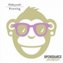 Hideyoshi - Momentum (The Electro Dudes Remix)