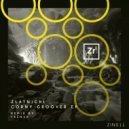 Zlatnichi - Shamanizmi (Frensh Remix)