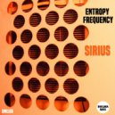 Entropy Frequency - Universe