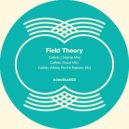 Field Theory - Callisto