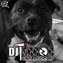 DJ Terror - Use The Microphone (Original Mix)