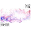 Pinz - Alternate Reality