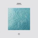 Pongo - Freedom