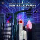 Transient Disorder & Spiritual Mode - True Hallucination (Aktyum Remix)