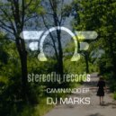DJ Marks - Need You