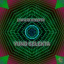 Lykwid & D3XTR - Yung Selekta (Original Mix)