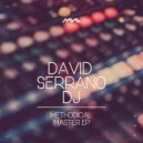 David Serrano Dj - Spiral Paranoid