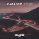 Analog Jungs - Punilla