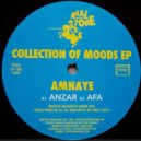 Amnaye - Anzar