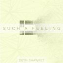 Deyn Shawket - Such A Feeling