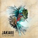 Jakare - The Pathway