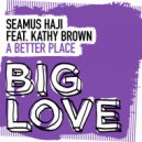 Seamus Haji featuring Kathy Brown - A Better Place