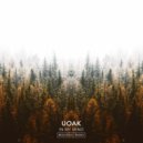UOAK - In My Mind
