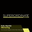 Nae:Tek & R.Hz - Mirroring