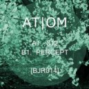 Atom - Percept (Original Mix)