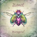 Disect - Probability (Original Mix)